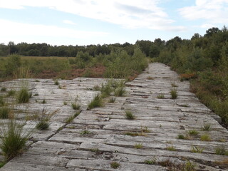 Steg Torfmoor Frotheim