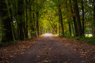 Fahrstrasse im Biosphärenreservat Oberlausitzer Heide- und Teichlandschaft