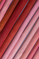colored wooden tube texture background