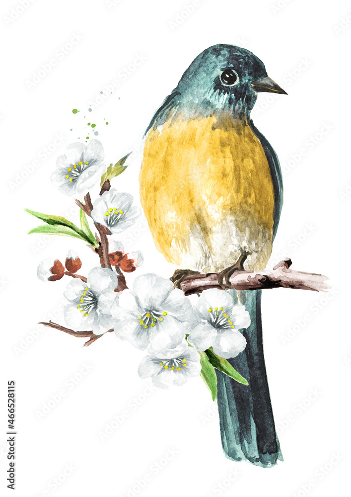 Wall mural Bird sitting on flowering branch. Spring card concept. Watercolor hand drawn illustration, isolated on the white background