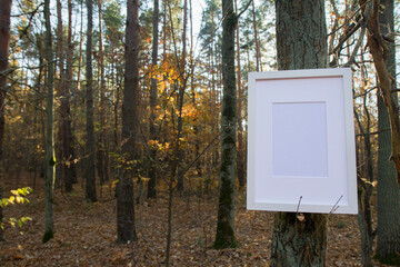 Blank picture frame on a tree among autumn leaves