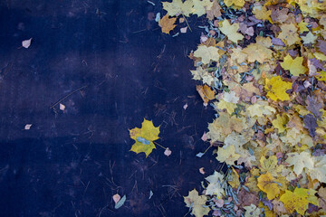 Autumn leaves on a dirt road - seasonal background