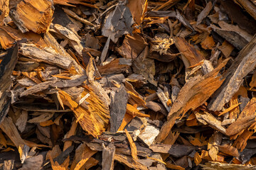 A large number of pieces of mahogany bark. All shades of brown. Background photo.