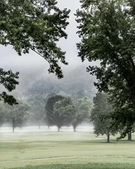 Foto op Plexiglas Pistache Verticale opname van een schilderachtige natuur met groene bomen en gras in het park