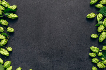 Hops cones on black textured stone background. Hops herb for the brewery. Beer concept Oktoberfest...