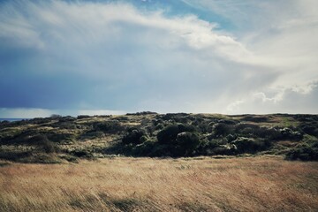 clouds with silver Oldman beard seed glistening in the sun with golden grass blowing in the wind