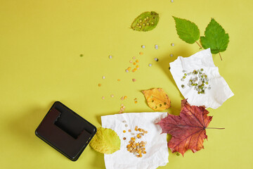hole punch, autumn leaves and confetti for the holiday, eco friendly zero waste confetti from dried...
