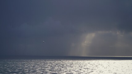 storm over the sea with Raven