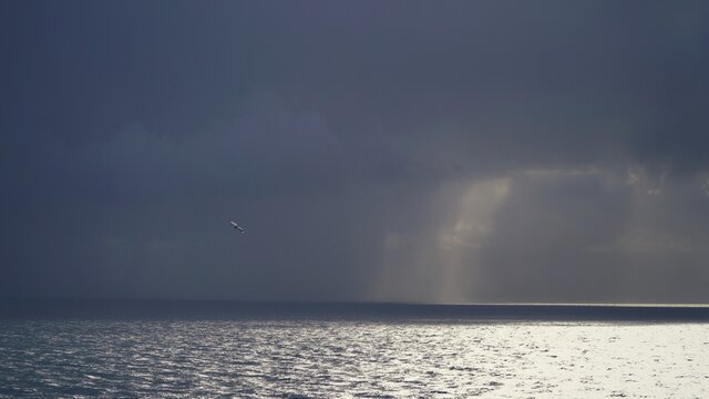 storm over the sea with Raven