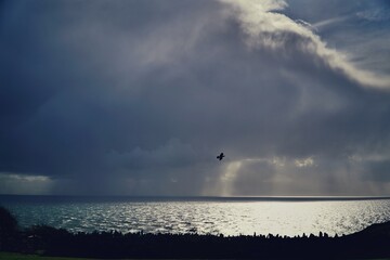 storm over the sea with Raven