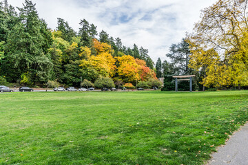 Fall At City Park