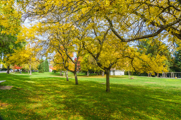 Autumn At Seattle Park 7