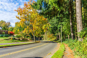 Autumn Burien Street 8