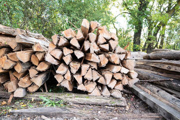 A wood pile in a park in France