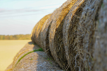 Photo of yellow haystacks on a field on a sunny day