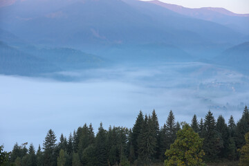 Beautiful view of foggy mountains covered with forest