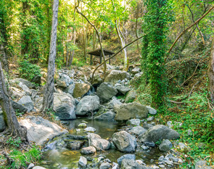 picturesque view at cascade of waterfalls in a mountain river flowing between trees, stones and rocks with grass on the steep sides of stream