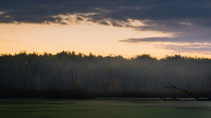 White Oak Bayou early morning with fog over the water