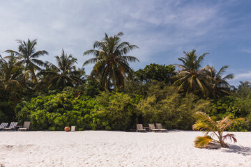 Playa paradisiaca soleada, agua cristalina, palmeras verdes y cielo azul