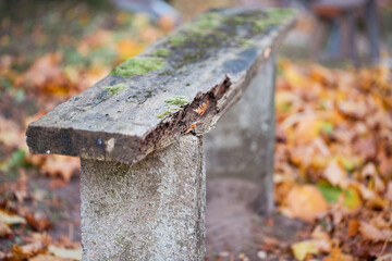 old and destroyed wooden bench with peeling paint, moss and rotten wood
