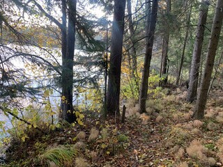 Осеннее озеро в солнечных лучах,Autumn lake in the sun