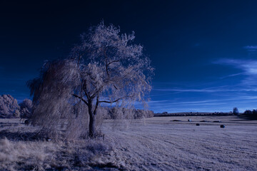 infrared photography - surreal ir photo of landscape with trees under cloudy sky - the art of our...