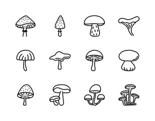 Mushrooms flat line icons set. Poisonous and edible mushroom symbol. Simple flat vector illustration for web site or mobile app