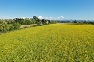 Fields and rural landscape from drone