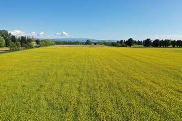 Fields and rural landscape from drone