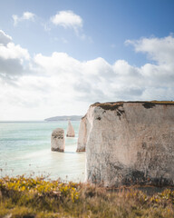 coastline with white cliffs