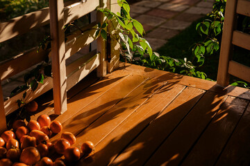 the sun's rays on the doorstep and tomatoes on the floor. Summer day calm