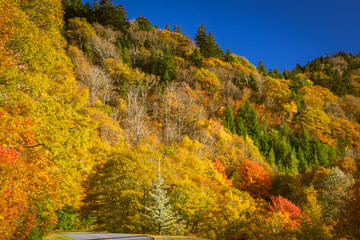 Along the Blueridge Pkwy