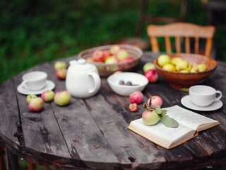 beautiful autumn still life in apple orchard, old table with cup, teapot, apples and book. Fall Getaway, Apple Picking anf Harvest Day Celebration concept