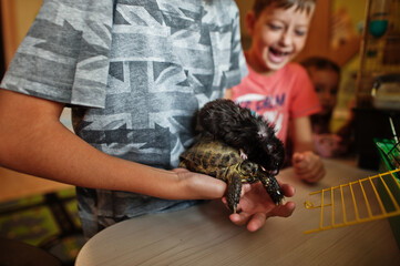 Children holding their favorite pets on hands. Kids playing with hamster,turtle and parrots at home.
