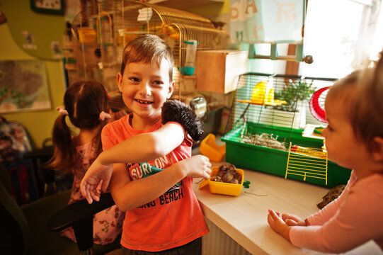 Children holding their favorite pets on hands. Kids playing with hamster,turtle and parrots at home.
