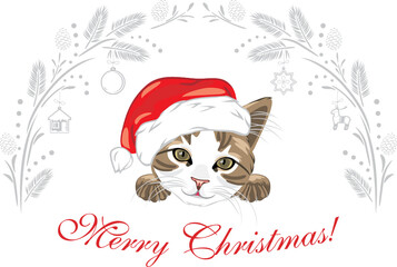 Funny cat wearing Santa hat. Christmas design for postcard