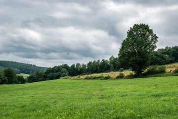 Green meadows and woods at the Belgian countryside in the Ardennes region