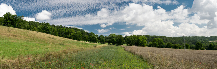 Obraz premium Meadows and agriculture wheat fields at the German countryside