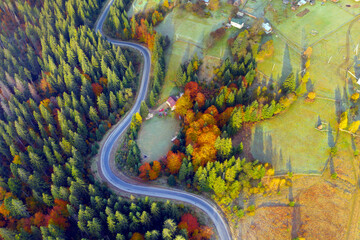 Aerial photo of beautiful mountain Krivopol pass Carpathians, Ukraine. Drone filmed an alpine landscape with coniferous and beech forests, houses, around a winding serpentine road