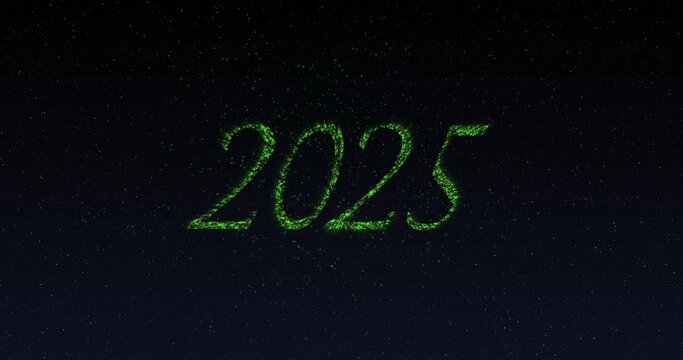Animation of 2025 in shimmering green letters and fireworks