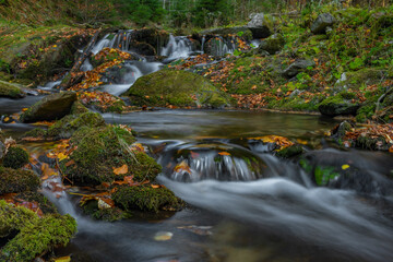Sumny creek in autumn morning in Jeseniky mountains