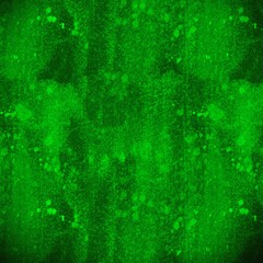 green texture