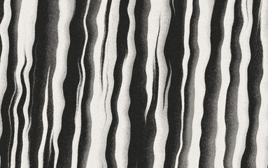 zebra stripes 
