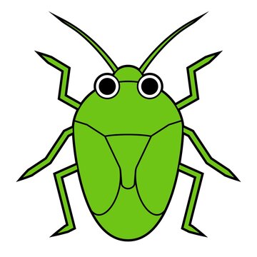 カメムシ