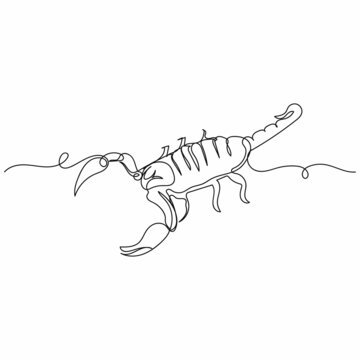 Vector continuous one single line drawing icon of scorpion in silhouette on a white background. Linear stylized.