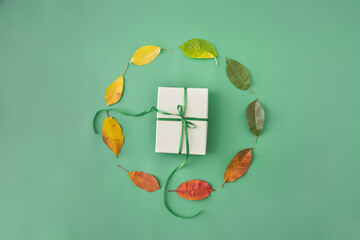 Life cycle time in circular form by leaves in colors from green, yellow, red and brown flat lay on...