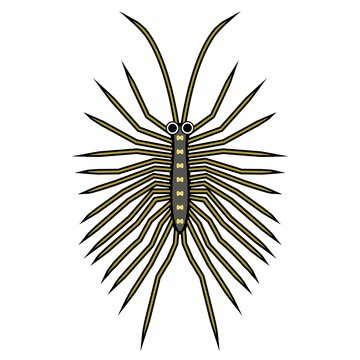 ゲジゲジ Images Browse 46 Stock Photos Vectors And Video Adobe Stock