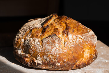 Front View of a Loaf of Sourdough Bread