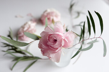 delicate pink flower