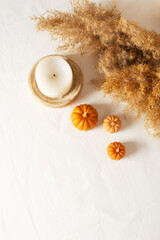 Fototapeta na wymiar Autumn fla lay with dried pampas grass and pumpkins candle